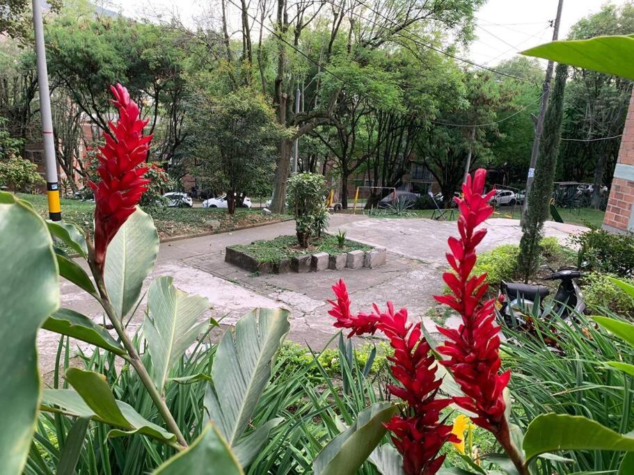 Apartment Acogedor Urbanizacion Tricentenario Medellin